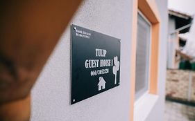 Tulip Guest House I.